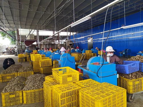 節(jié)氣不等人，春日勝黃金 把握旅游業(yè)務(wù)的季節(jié)脈搏